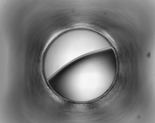 X0000099941376200805231011