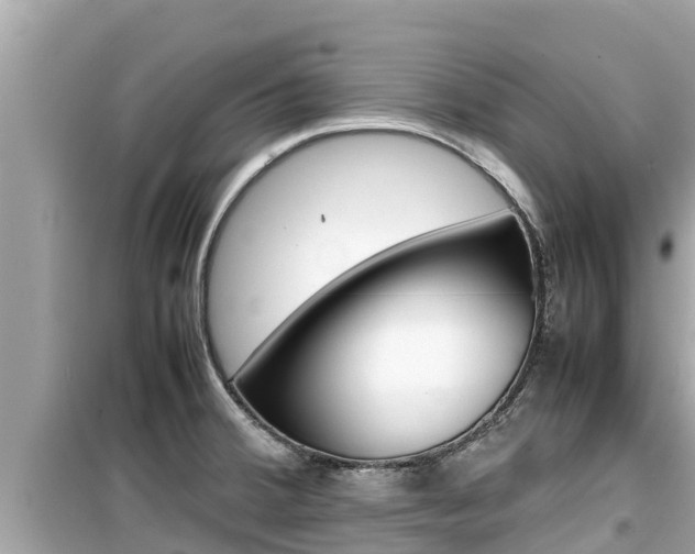 X0000099941380200805231011