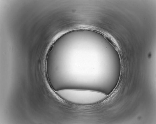 X0000099941381200805231011