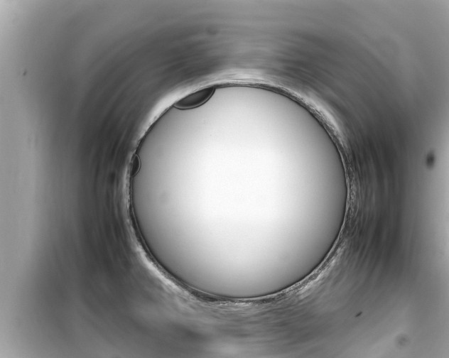 X0000099941382200805231011