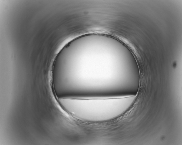 X0000099941383200805231011