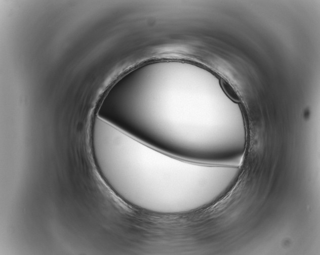 X0000099941384200805231011