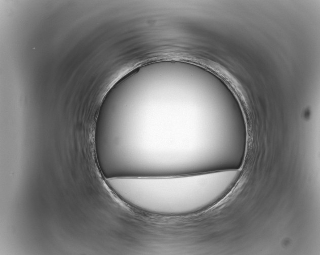 X0000099941385200805231011