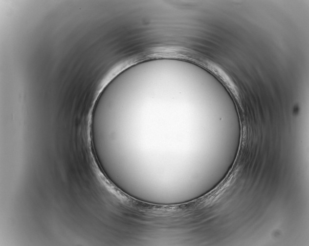 X0000099941386200805231011