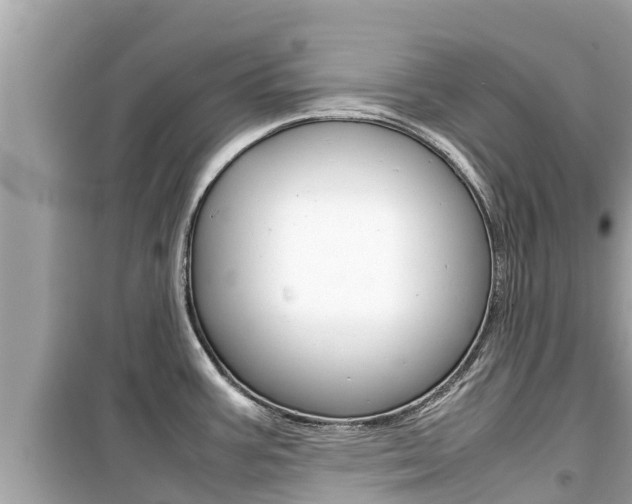 X0000099941387200805231011