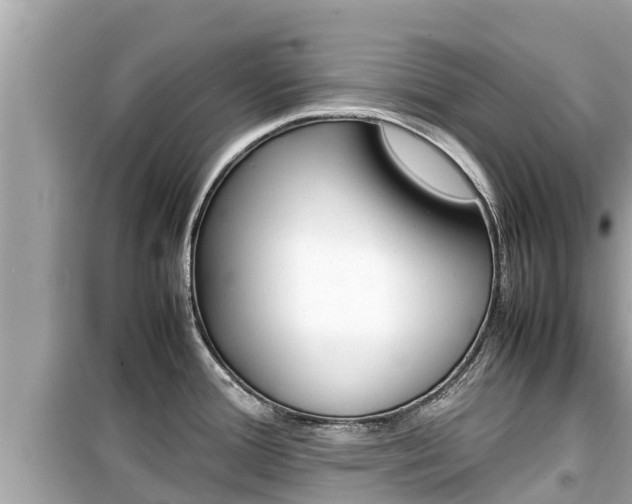 X0000099941388200805231011