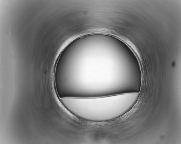 X0000099941389200805231011