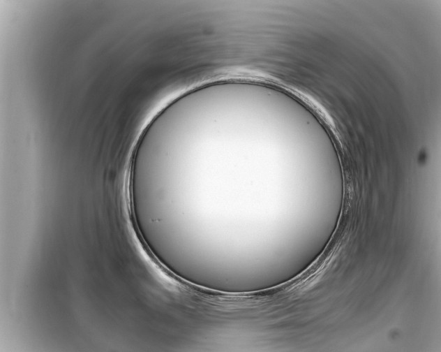 X0000099941391200805231011