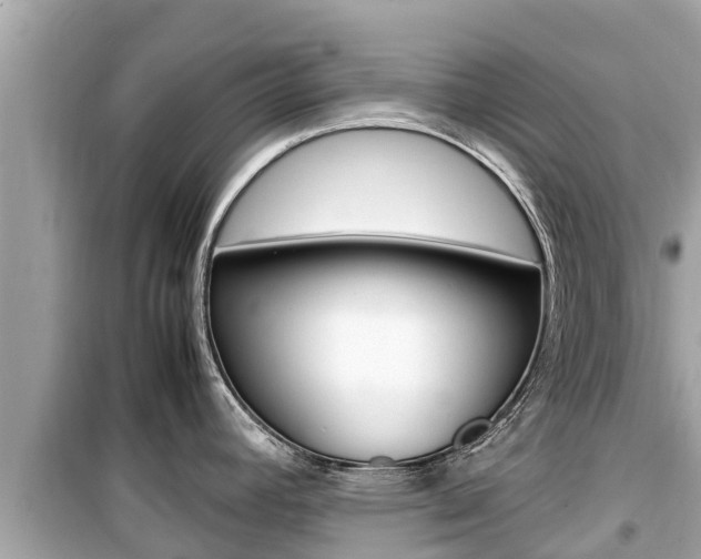 X0000099941392200805231011