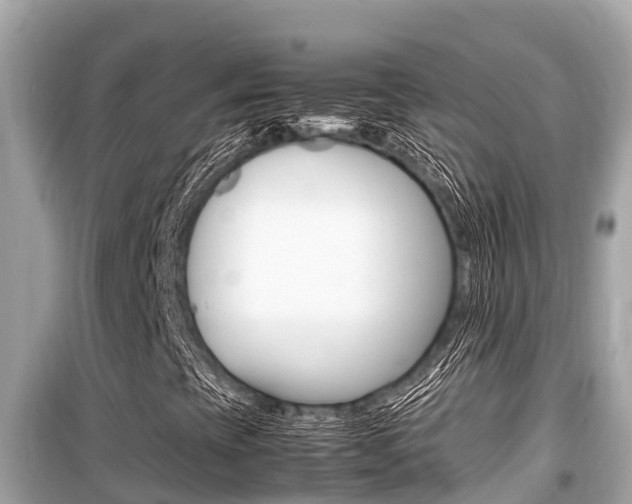 X0000099941393200805231010