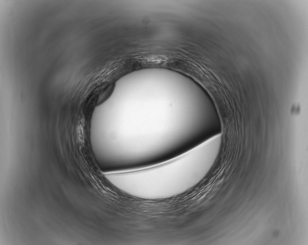 X0000099941394200805231010