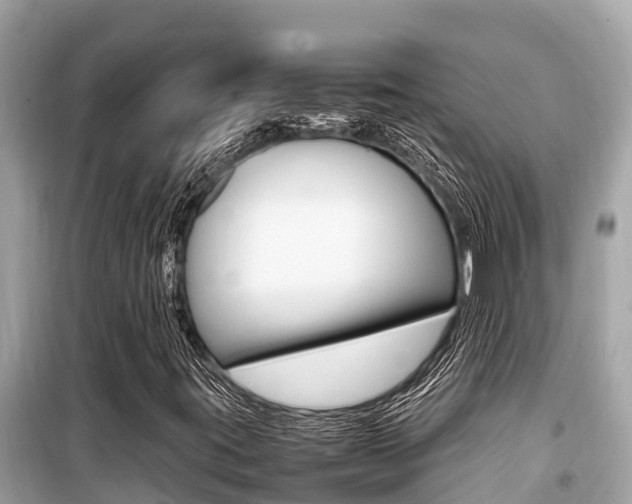 X0000099941395200805231010
