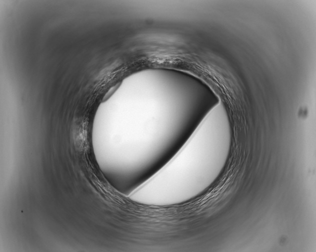 X0000099941396200805231010