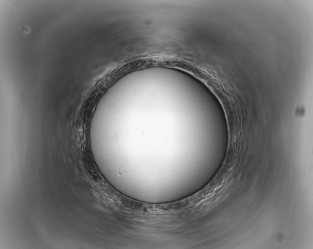 X0000099941398200805231010