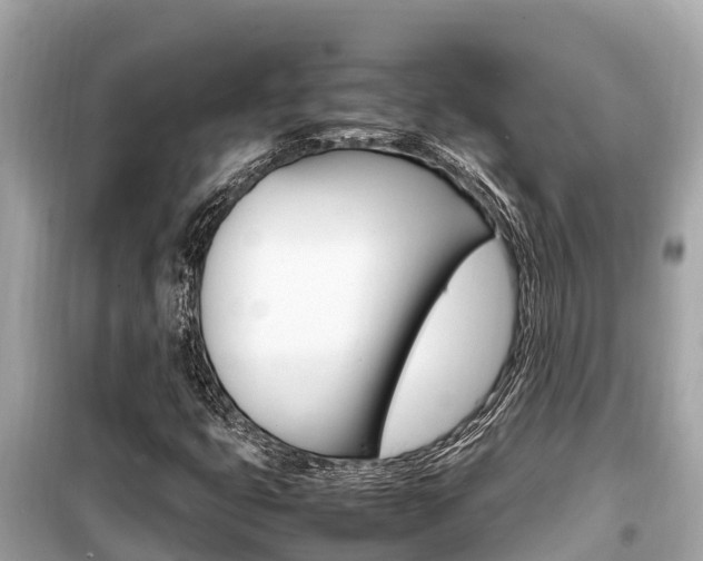X0000099941399200805231010