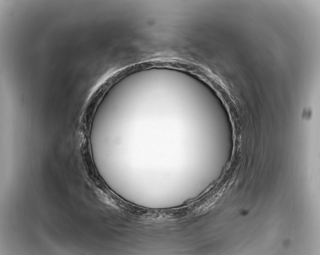 X0000099941400200805231010