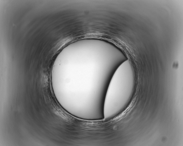 X0000099941401200805231010