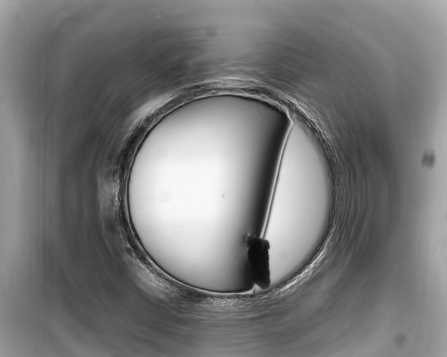 X0000099941402200805231010