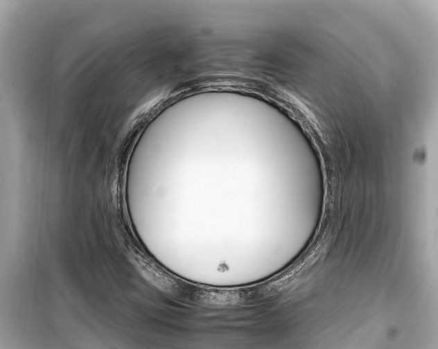 X0000099941403200805231010