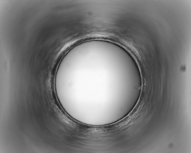 X0000099941404200805231010