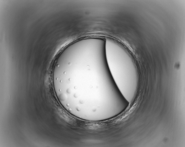 X0000099941405200805231010