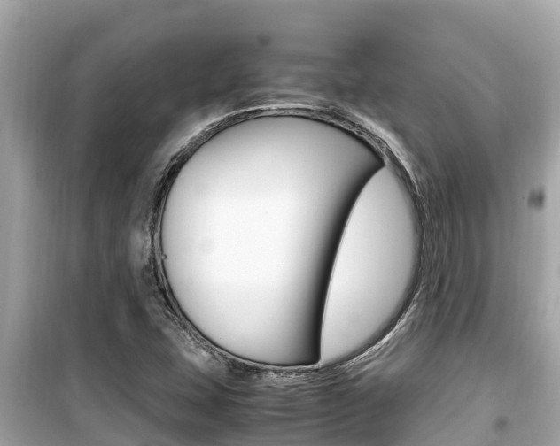 X0000099941407200805231010