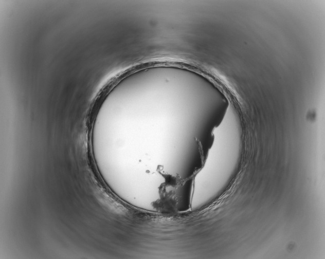 X0000099941408200805231010