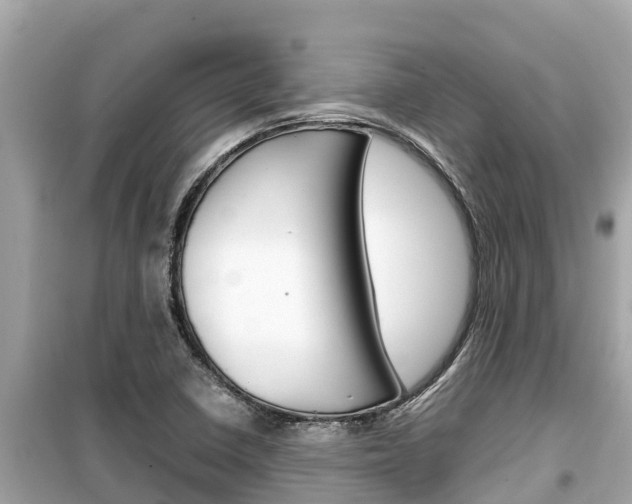 X0000099941410200805231010