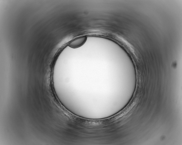 X0000099941411200805231011