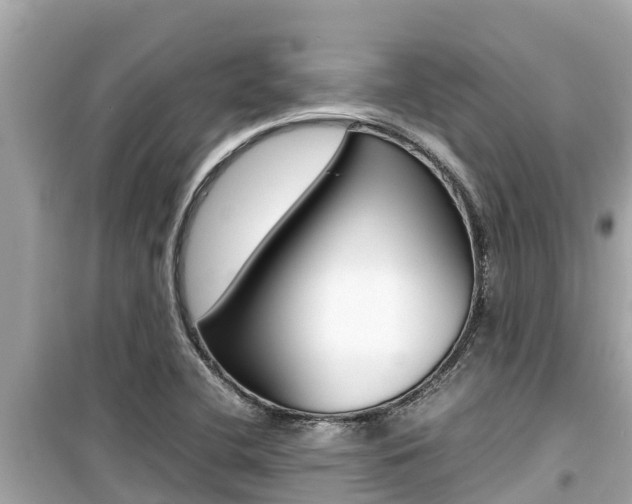 X0000099941412200805231011