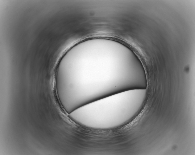 X0000099941413200805231011