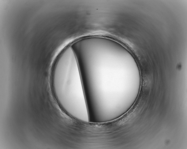 X0000099941414200805231011
