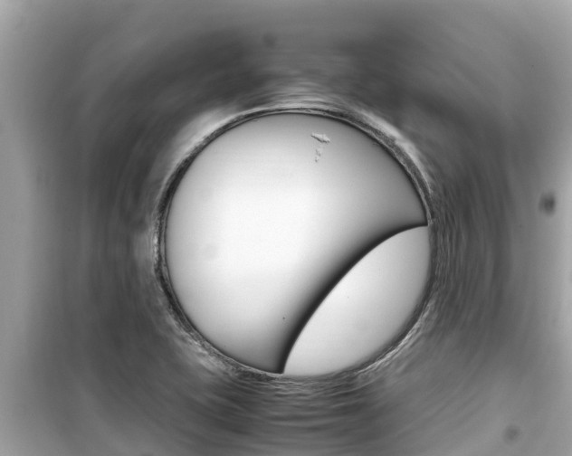 X0000099941415200805231011
