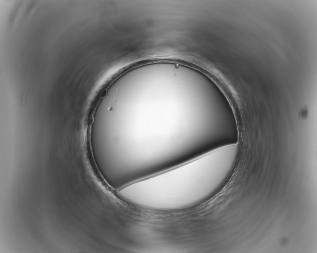 X0000099941416200805231011