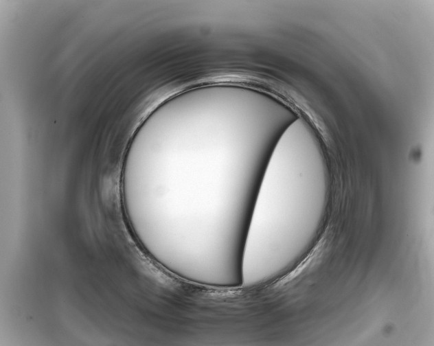 X0000099941417200805231011