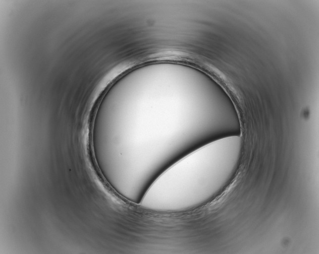 X0000099941418200805231011