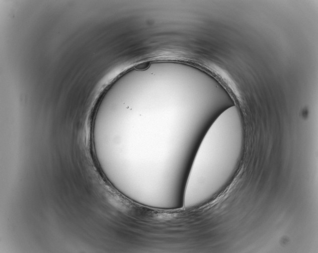 X0000099941419200805231011