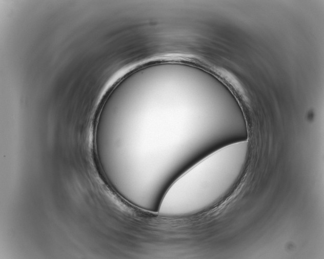 X0000099941420200805231011