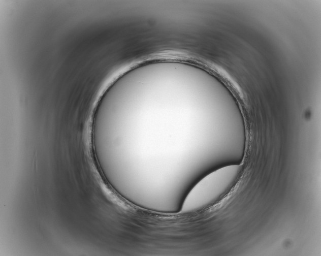 X0000099941421200805231011