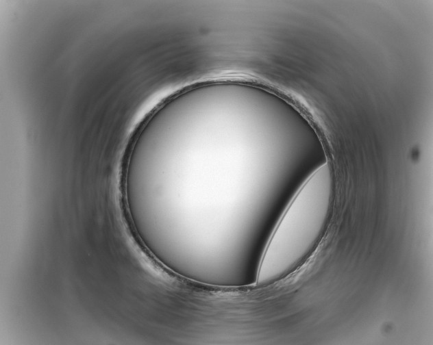 X0000099941422200805231011