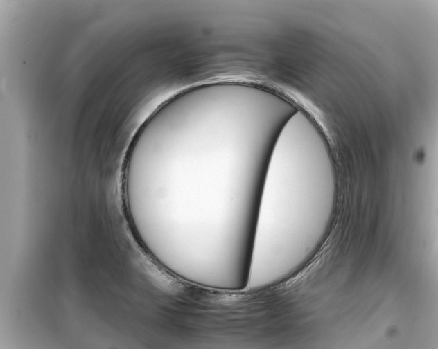 X0000099941423200805231011