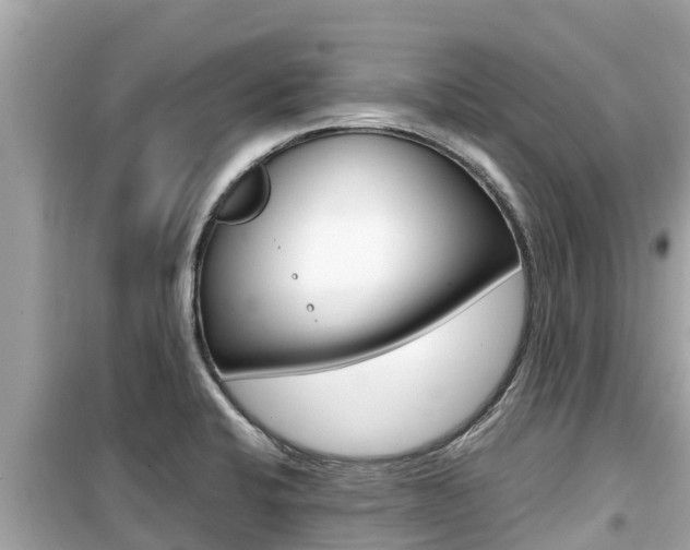 X0000099941424200805231011