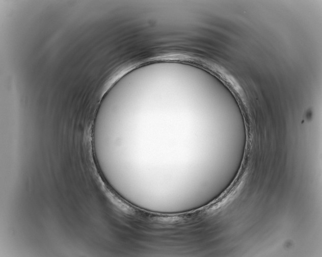 X0000099941425200805231011