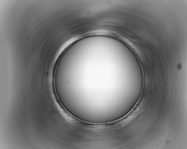 X0000099941426200805231011