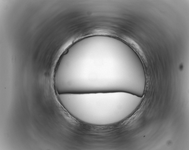 X0000099941427200805231011