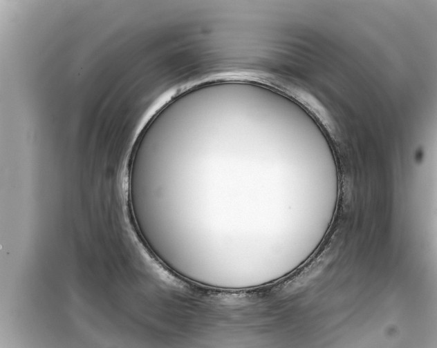 X0000099941428200805231011