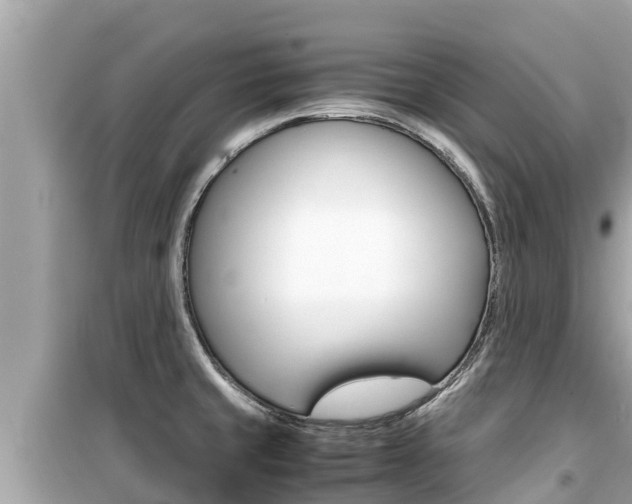 X0000099941429200805231011