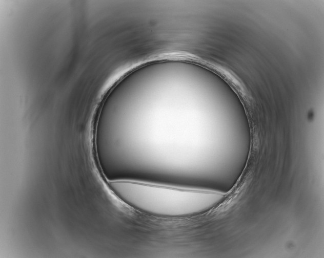 X0000099941430200805231011