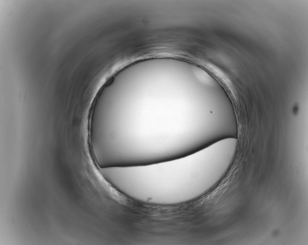X0000099941431200805231011