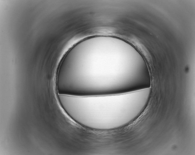 X0000099941432200805231011